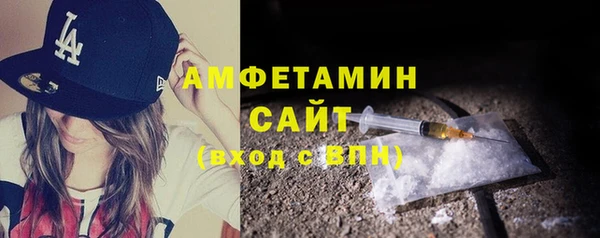 амф Гусев