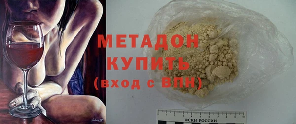 амф Гусев