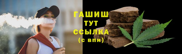амф Гусев