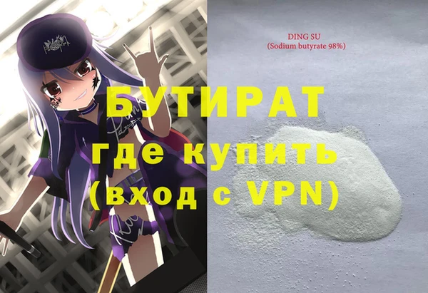 амф Гусев