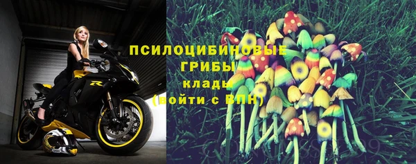 амф Гусев