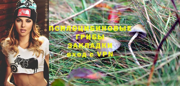 ПСИЛОЦИБИНОВЫЕ ГРИБЫ Вяземский