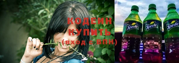 амф Гусев