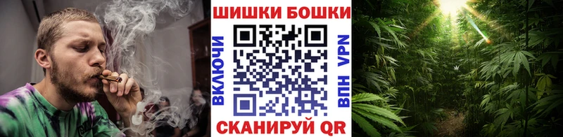 закладка  Жирновск  мега зеркало  Шишки марихуана семена 